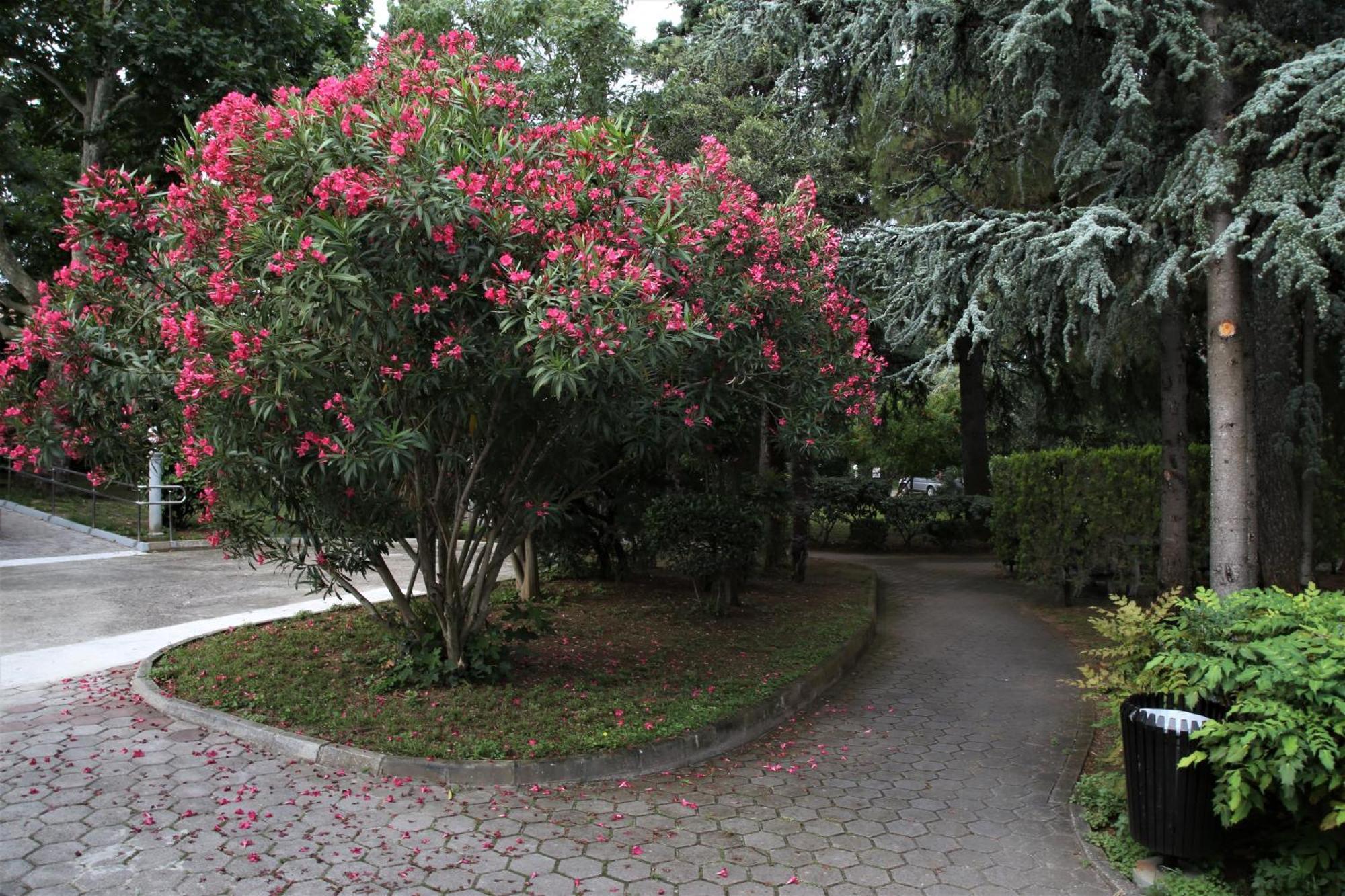 Floramare Health Resort Izola Exterior photo